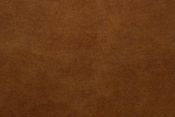 Cognac