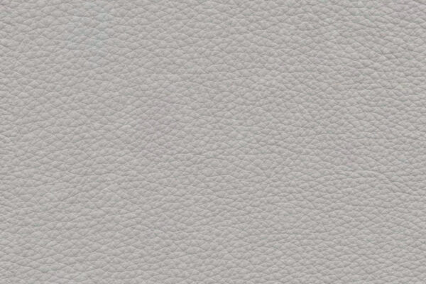 Coala