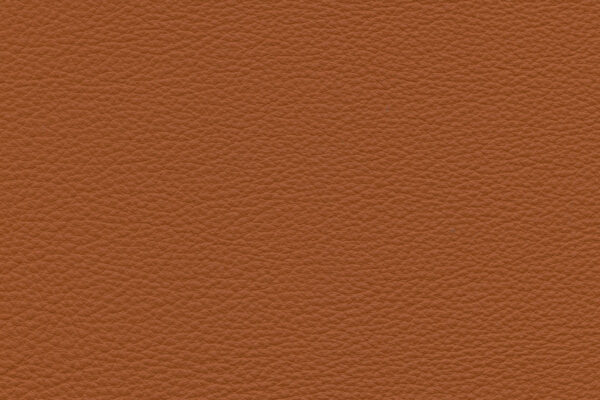 Amaretto