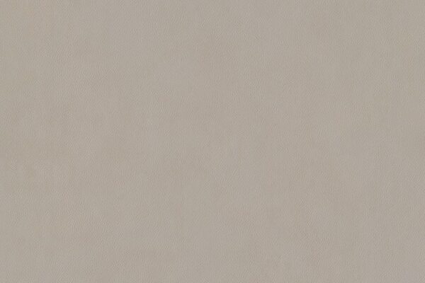 Mineral Grey