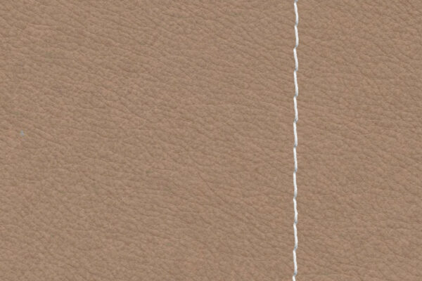 Desert