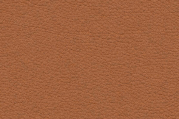 Almond