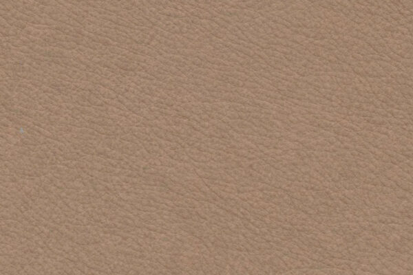 Desert