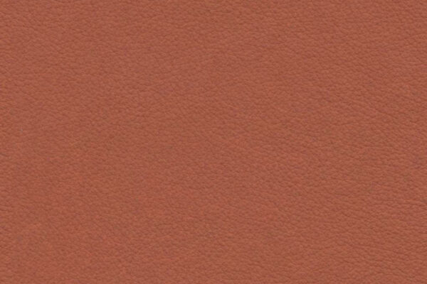 Marsala