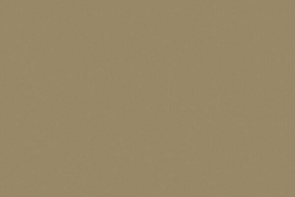 BP920 Latte