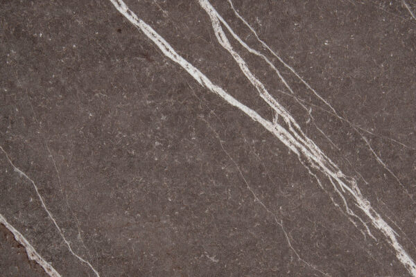 Arpa Pulpis Grey