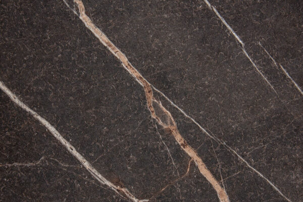 Arpa Pulpis Dark