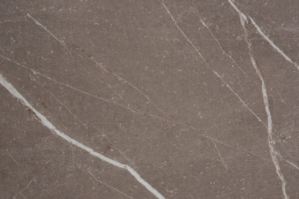 Arpa Pulpis Light