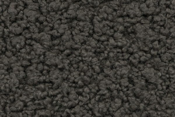 Poodle