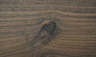 Nussbaum natur