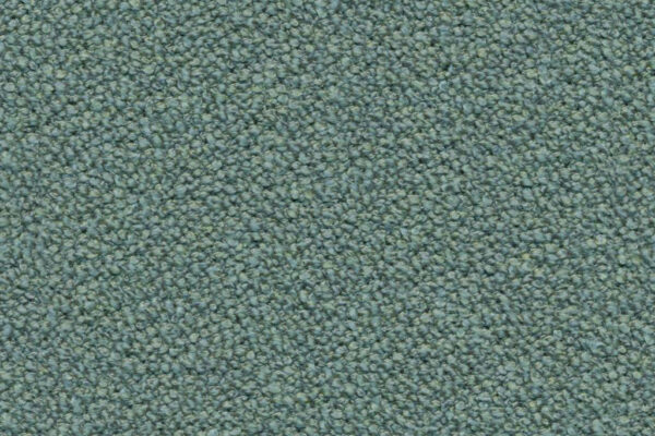 Abalone