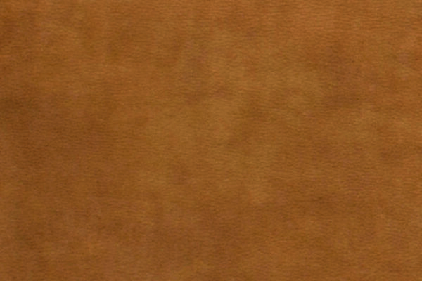 Cognac