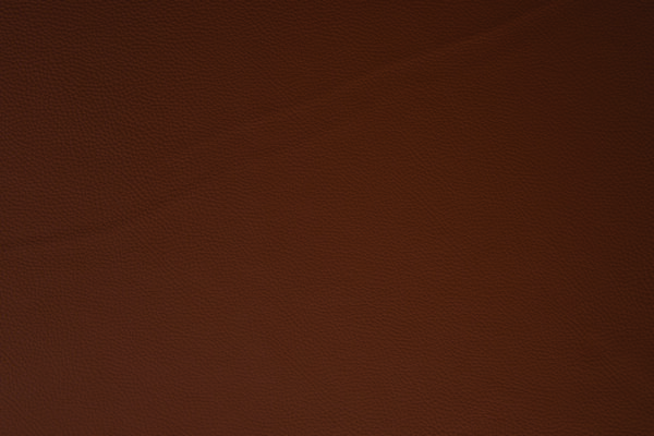 Saddlebrown