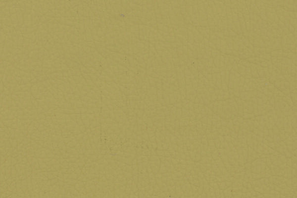 Sahara